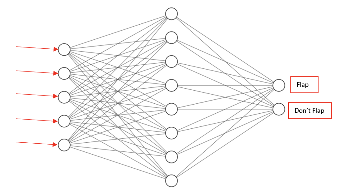Visualization of the Neural Network architecture with 5 inputs and 2 outputs